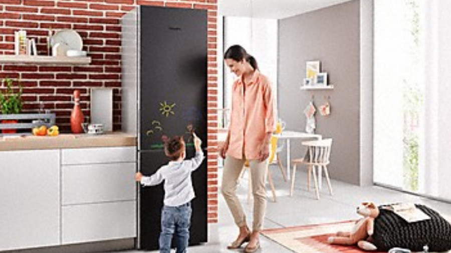 Réfrigérateur/congélateur Miele KFN 29283 D bb