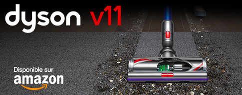 Aspirateur Dyson V11