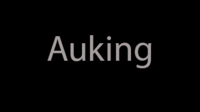Auking