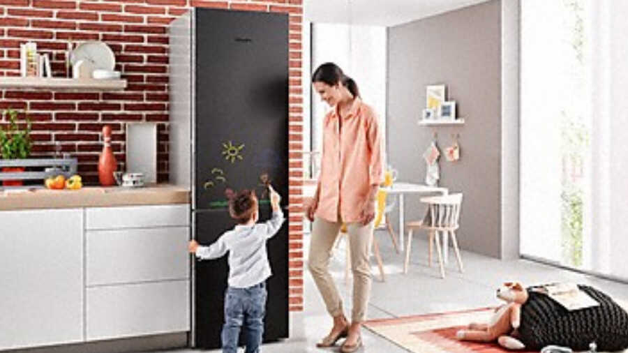 Réfrigérateur/congélateur Miele KFN 29283 D bb